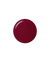 016 Marry Raspberry