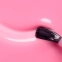 Pink Sorbet