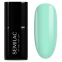 Mint to Be 972