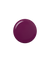 021 Wild Orchid 