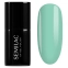 Jelly Mint 973