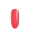 Neon Watermelon