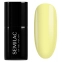 Limoncello 970
